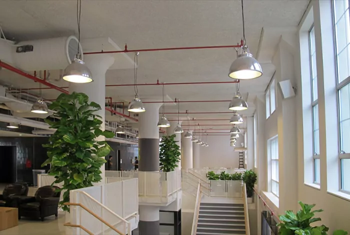 Acoustment plaster semi-smooth installed in an open plan industrial office space.