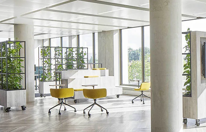 dur-solo perforated metal acoustical ceiling clouds in an open office environment