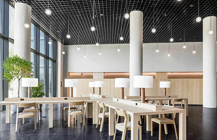 Grid style open cell metal supsended ceiling above open plan work stations.