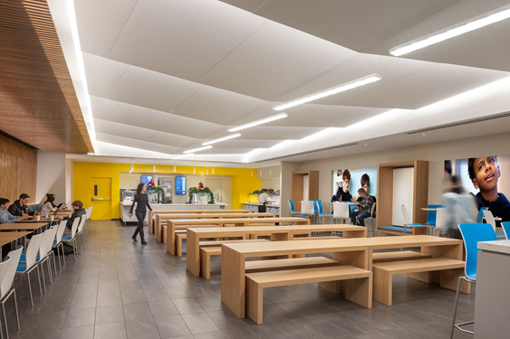 Transform Your Space with Aura — High-Performance, Beautiful Acoustical ...